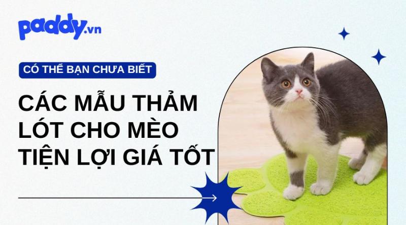 Mot tam tham lot duoi chan cho ve sinh meo mau xam giup giu lai cat vang vai tren san nha.